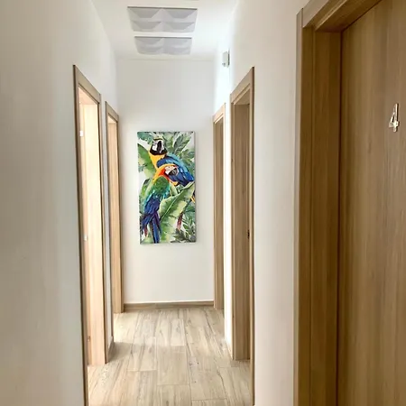 Bedrooms Ap Garden